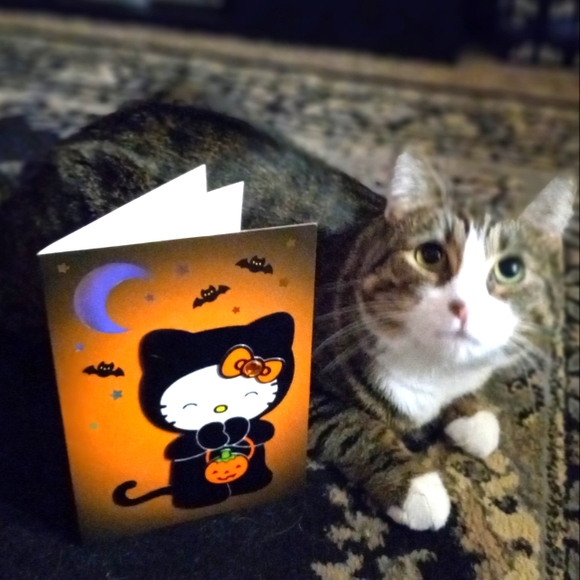 Meet your Posher, Chris (<3Peaches<3) - Picture 4 of 4